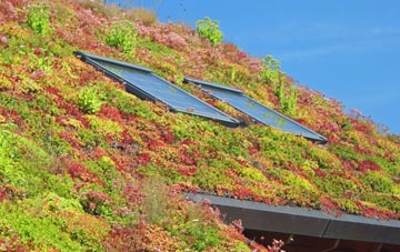 Dumfries living roof systems
