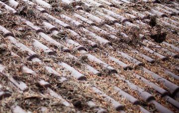 Dumfries roof cleaning companies